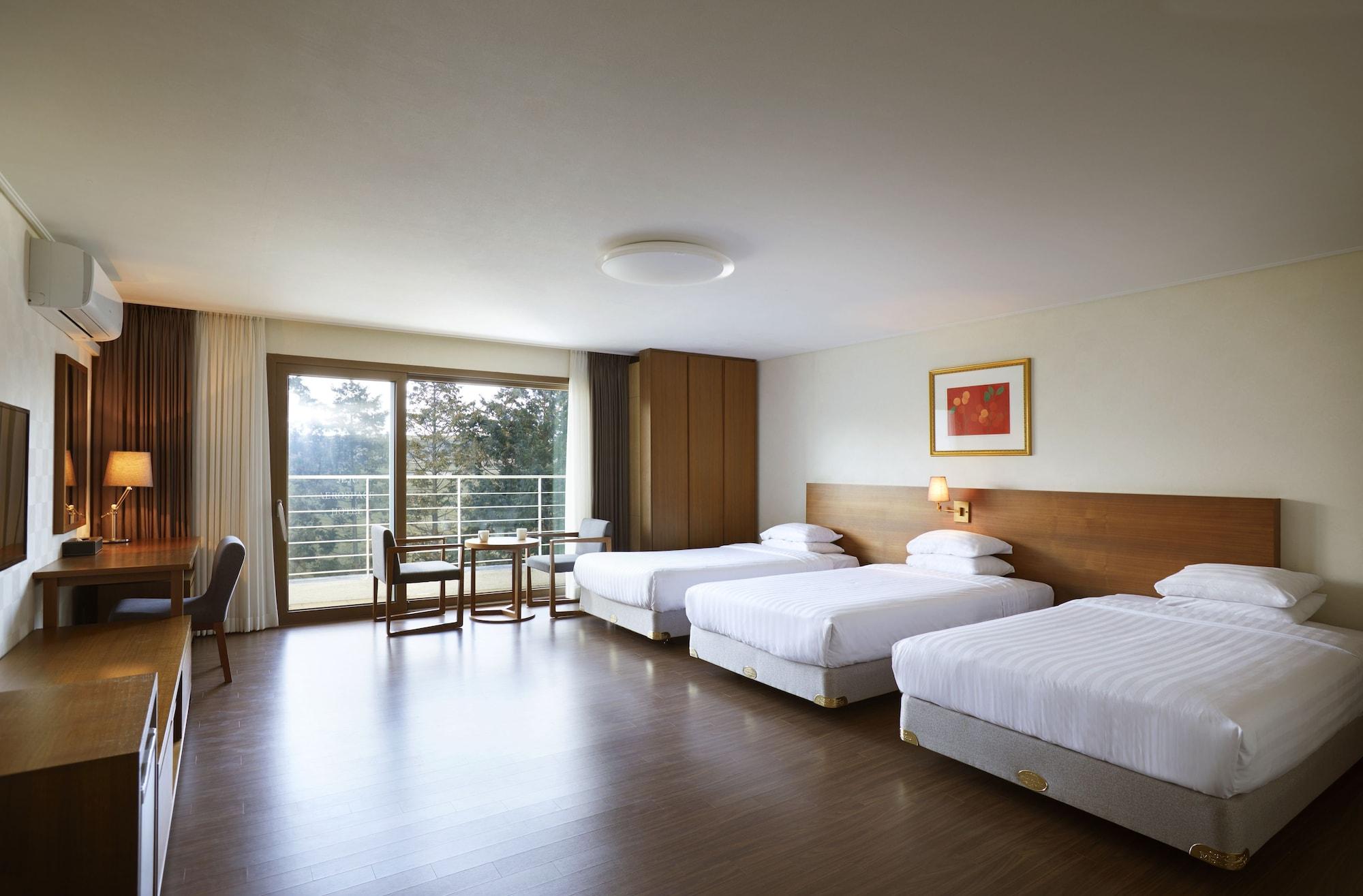 Jeju Aerospace Hotel Seogwipo Exterior photo