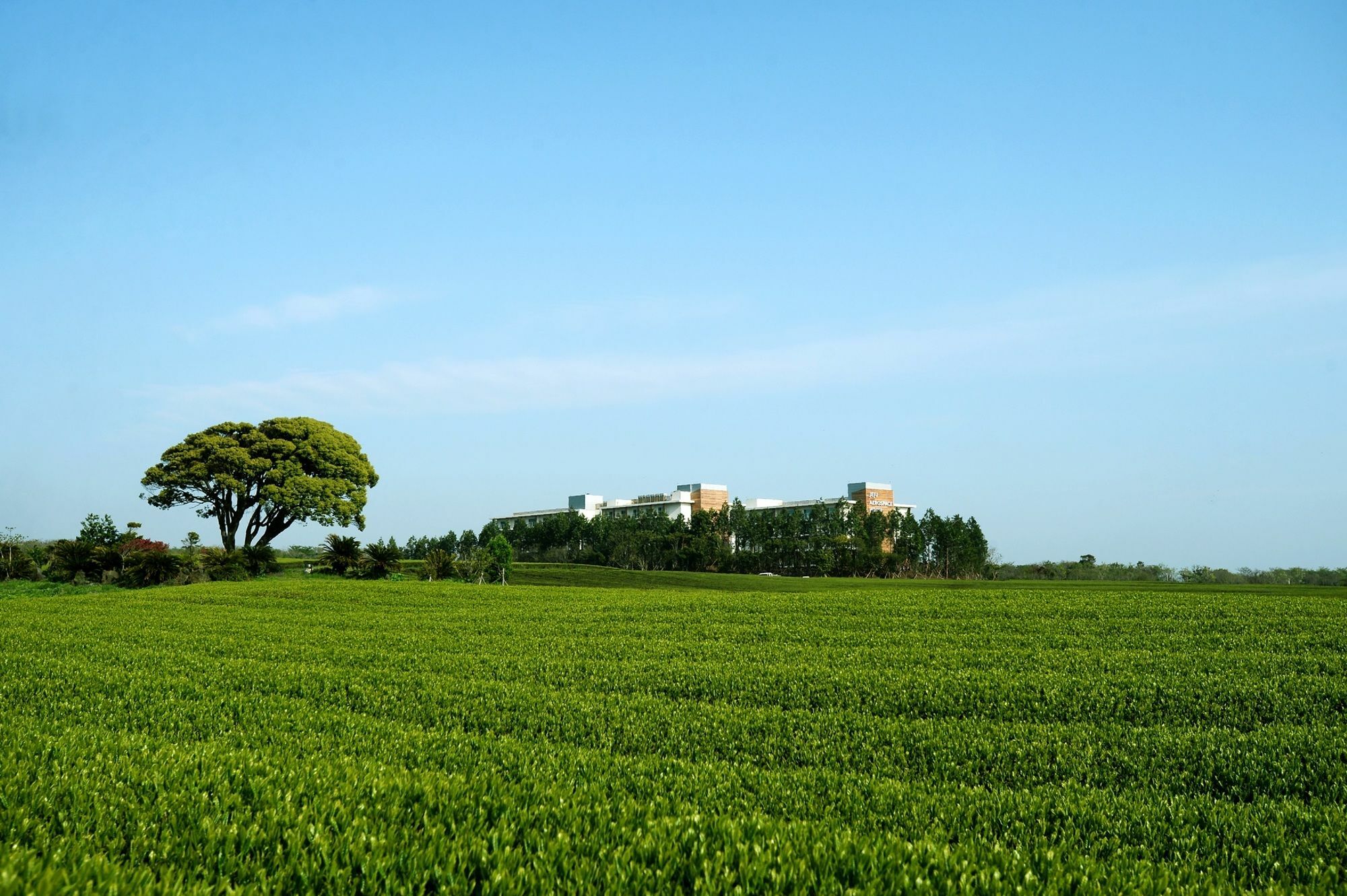 Jeju Aerospace Hotel Seogwipo Exterior photo